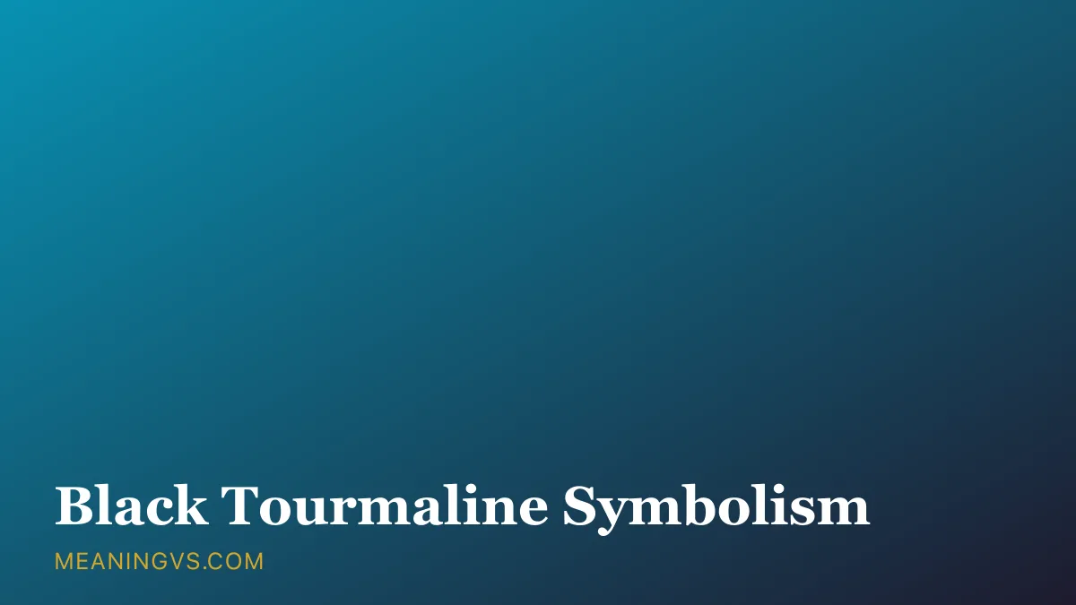 A rough black tourmaline crystal showing its striated columnar form, symbolizing protection and grounding