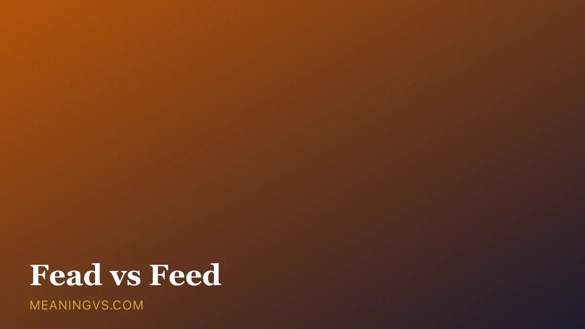 The words fead and feed side by side, with feed marked as the correct spelling